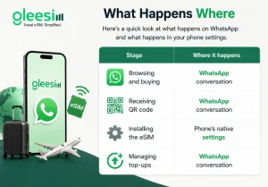 GleeSim eSIM process showing WhatsApp and phone settings